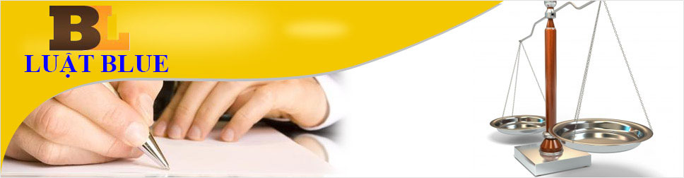 Dịch vụ giấy phép